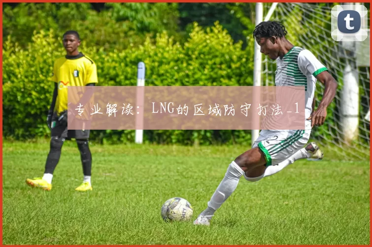 专业解读：LNG的区域防守打法_1