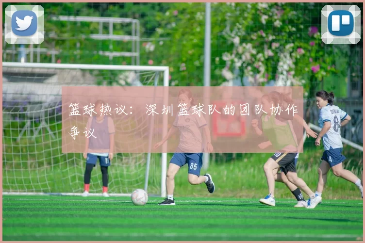 篮球热议：深圳篮球队的团队协作争议