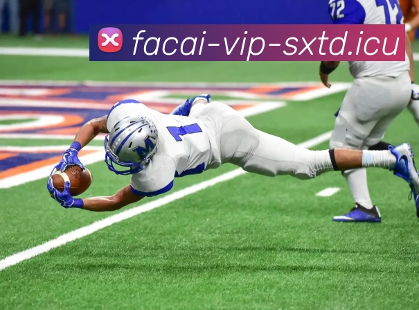 九游体育平台生态图