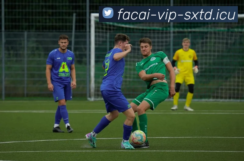 九游体育全站App